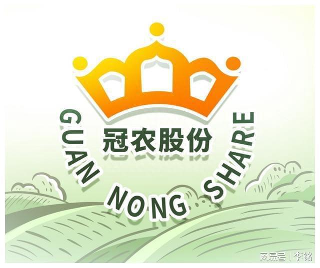 冠农股份股吧，企业潜力与未来发展路径探究