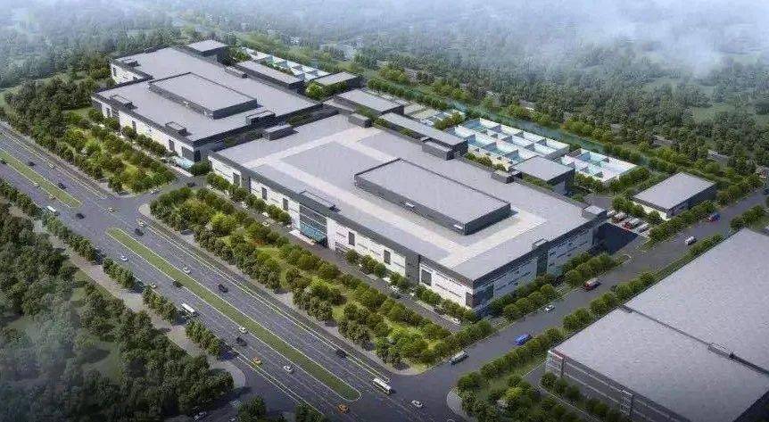 宝鹰股份砥砺前行，勇探企业发展新高度