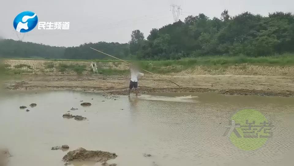 河南信阳湿地公园孩童溺亡事故敲响安全警钟，呼吁监管升级