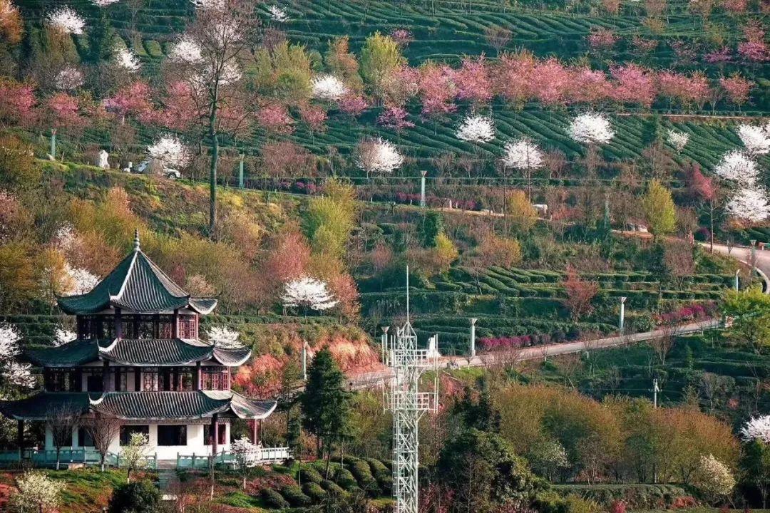 国内 第269页