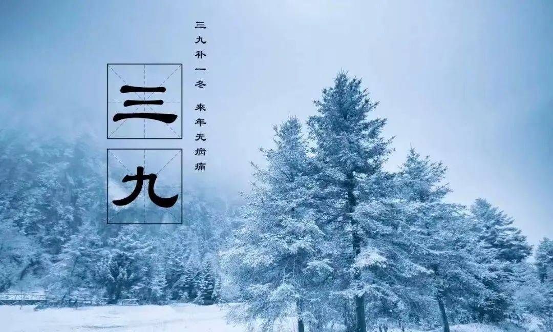 寒冬三九已至，凛冽寒风来袭
