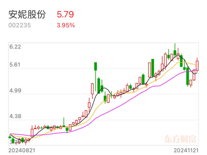 安妮股份股吧，深入探究与洞察