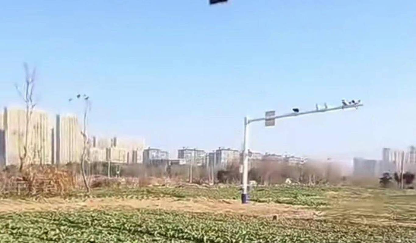 菜地中间设红绿灯？社区回应，交通管理与农业用地的新挑战？