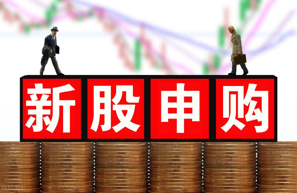 元力转债，企业转型与资本市场共创新机遇