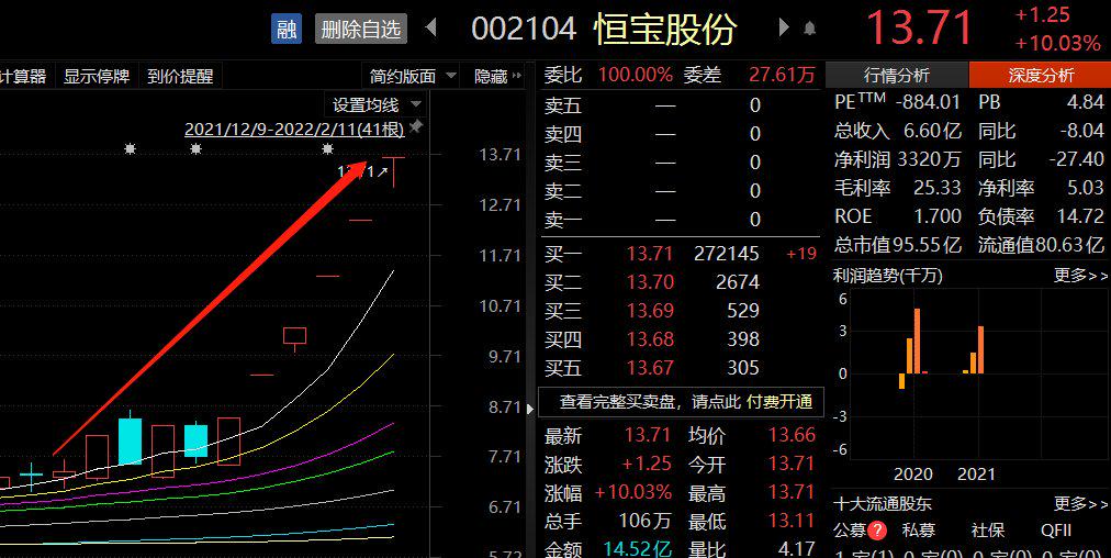 恒宝股份股吧，数字时代金融新纪元探索之旅