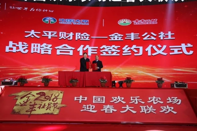 金丰投资，共创卓越辉煌的未来之路
