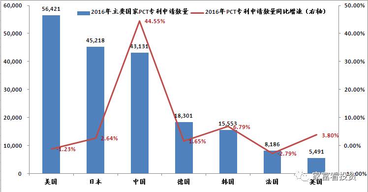 新中基股票，市场趋势及前景展望分析