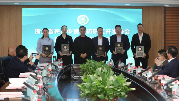 浙江医药，历史沿革与现代发展的轨迹