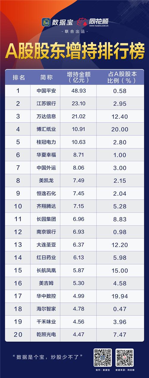 长航凤凰股吧，股市动态的关键探索与洞察平台