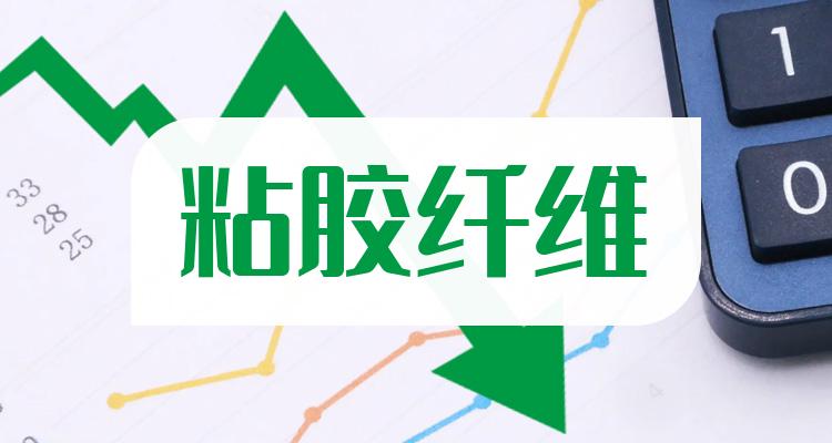 新乡化纤股吧，投资领域的探索与机遇