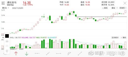 金马股份股吧，企业潜力与股市动态深度探究