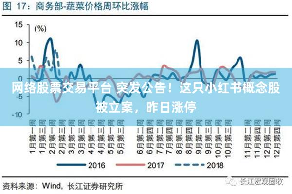 小红书概念股掀涨停潮，市场热捧背后的逻辑与趋势深度解析