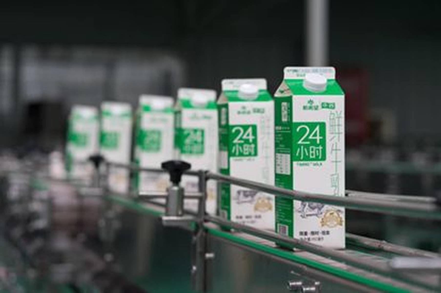 中国乳业崛起视频展示，北美市场反向输出走红