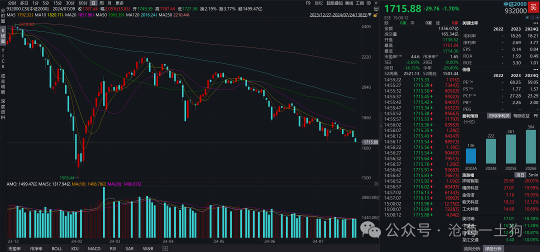 红阳能源股票，市场趋势与前景展望分析