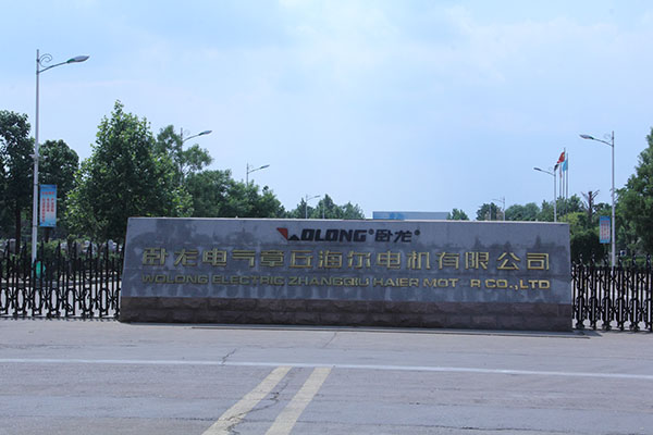卧龙电气，电气领域的耀眼明珠