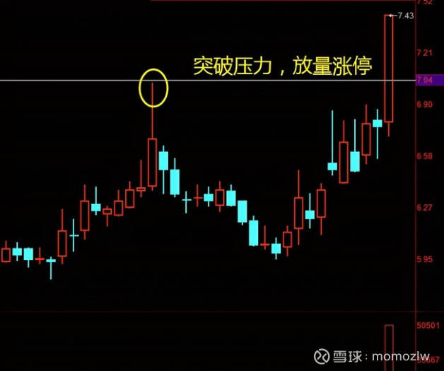 南方汇通股吧，股市新动向的探索与洞察