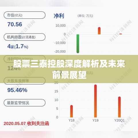 刚泰控股深度解析，股吧热议与前景展望
