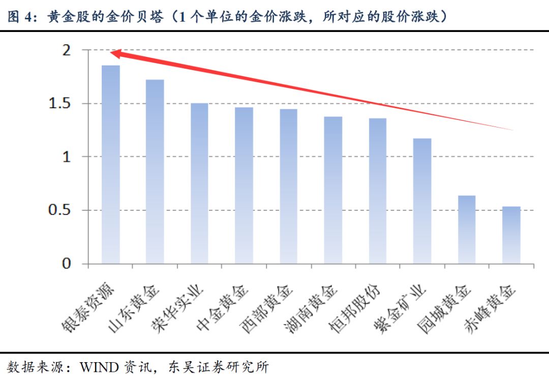 山东黄金股吧，黄金投资热门话题与策略深度探讨