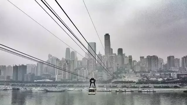 重庆观音桥步行街观赏鱼大片死亡事件，悲剧与反思