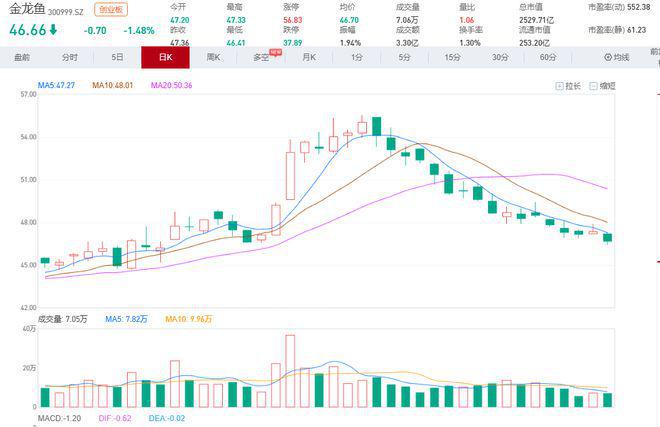 金龙鱼股票深度解析与投资策略探讨