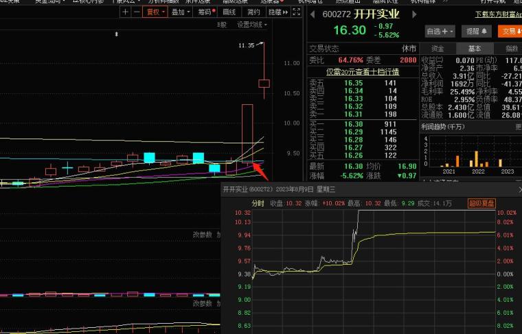 开开实业股吧，企业成长与市场动态深度探究