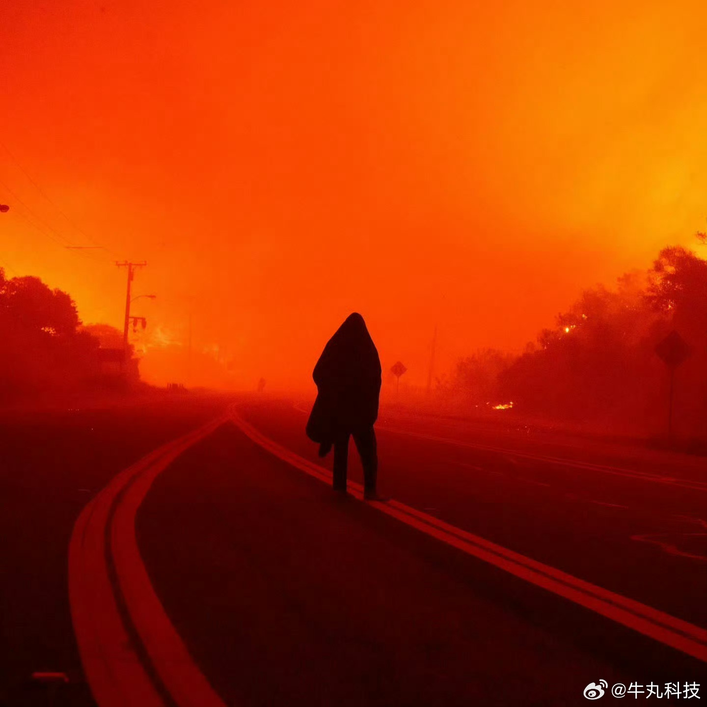 洛杉矶山火肆虐，富人区也难逃一劫