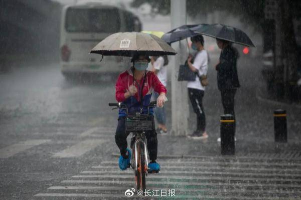 湖北狂风暴雨下的私家车挑战与应对策略，变身为碰碰船的挑战应对之道