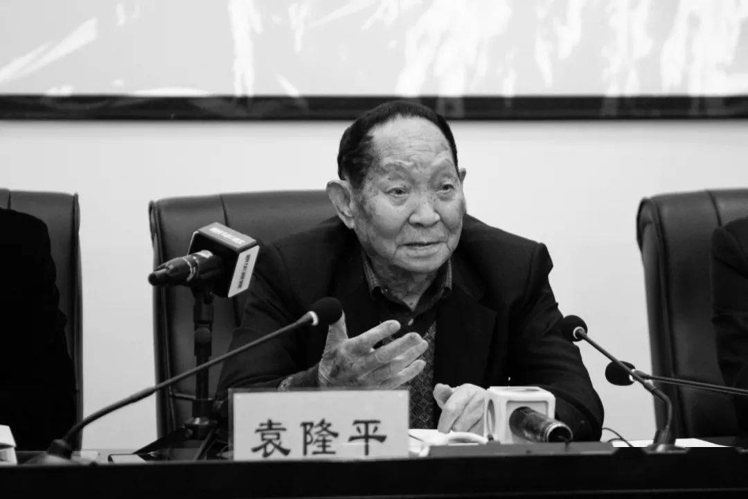 中国科学院院士张启发视角下的全谷物黑米独特优势解析
