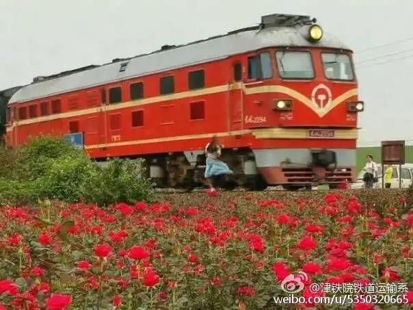 日本列车事故致两名中国女游客不幸身亡，引发悲痛关注