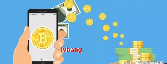 宝盈货币，金融领域的稳健探索力量