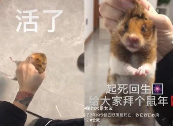 寒冬中的紧急救援，男孩勇敢行动拯救宠物仓鼠生死瞬间