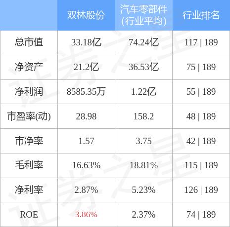 双林股份股票深度解析与未来前景展望