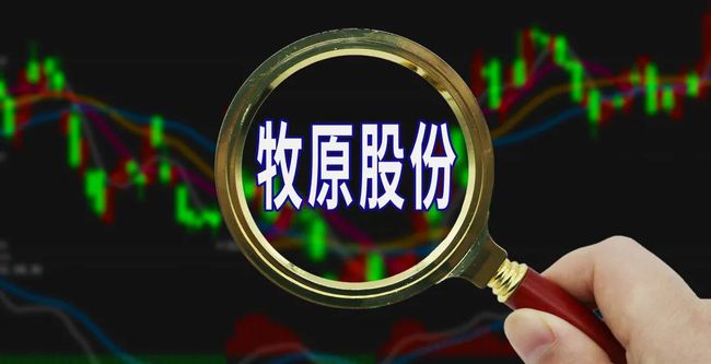 豆神教育股吧，探寻教育行业的独特力量之源