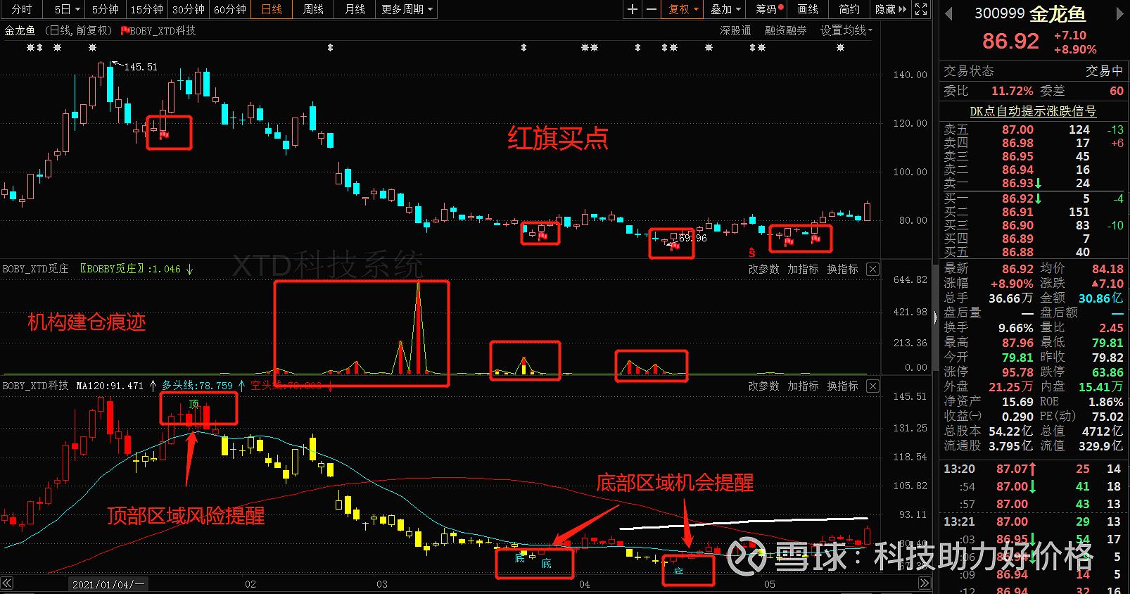 金龙鱼股吧，股市巨龙活跃，投资机会涌现
