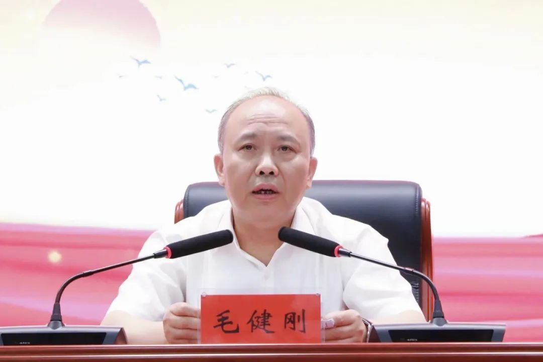 湖南省委巡视组组长毛健刚落马事件，反思与启示