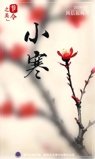 小寒节气花开静待春归
