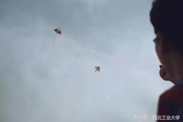 氧气管与男孩，风筝的束缚与生命的勇气