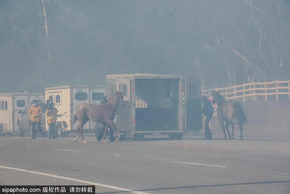 驻洛杉矶总领馆提醒，山火防范至关重要，保护生命与财产安全措施需重视