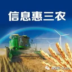 乡村振兴的未来，政策带来的希望与机遇