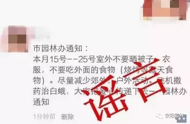 安徽广德小飞机坠落事件真相揭秘，探究谣言背后的真实情况