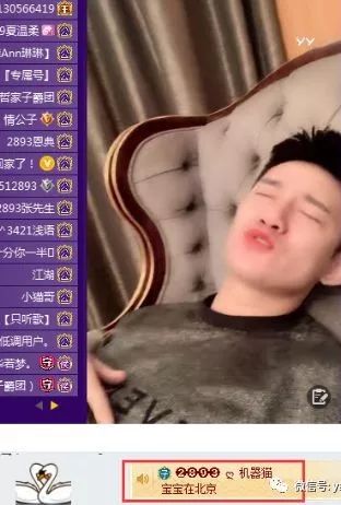 甲亢哥与辣椒，独特的相遇与别离故事