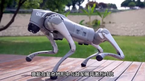 国产机器狗进化装备微型导弹，智能防御新篇章开启