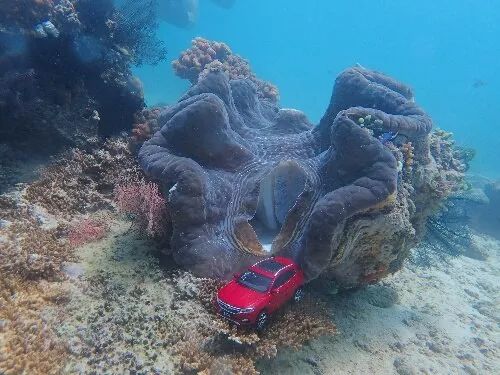 DeepSeek引领技术革新，开启海洋探索新纪元，海外掀起巨浪