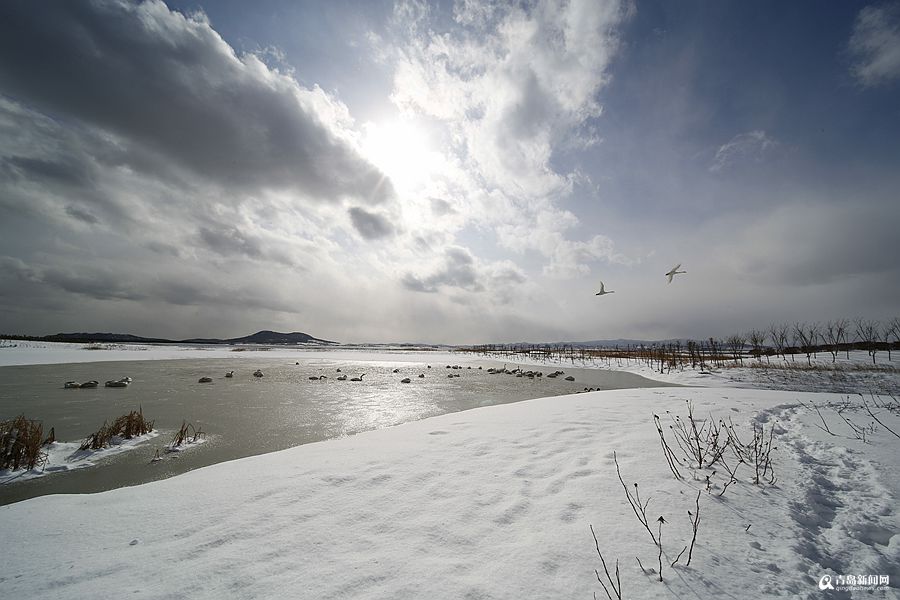 烟台威海，雪窝子的魅力独特展现