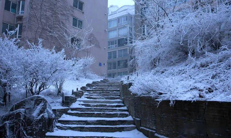 辽宁营口罕见大雪天气，非必要不出门倡议启动