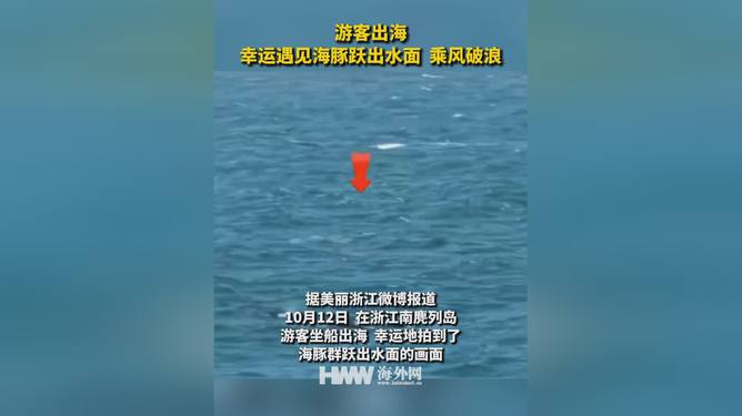 熊乃槿的乘风破浪求职之旅，与乘风2025的邂逅