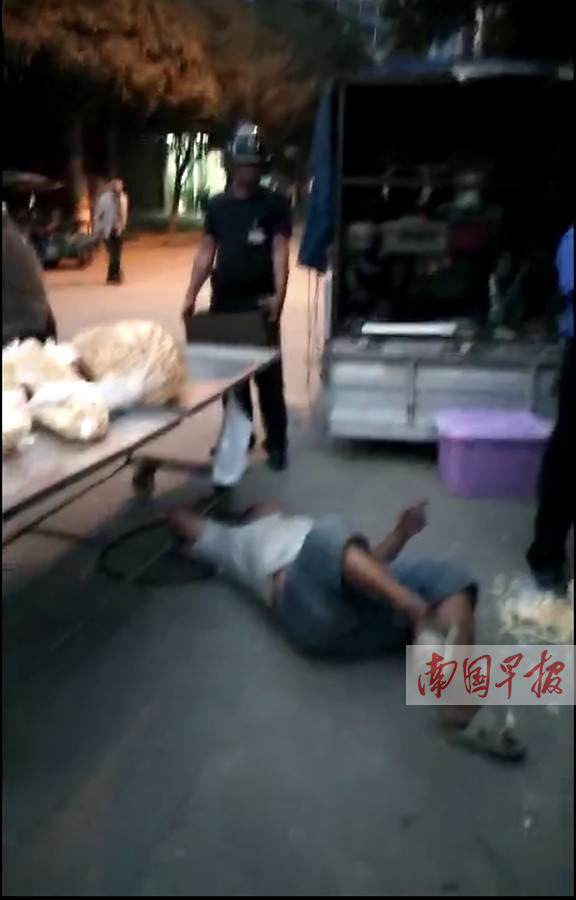 网传摊贩坐车顶阻碍执法事件背后的回应与深思