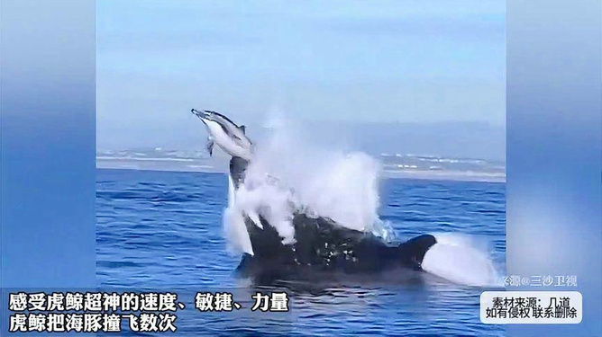 未来海上力量的象征，虎鲸作战艇全球首次公开亮相，揭示新篇章