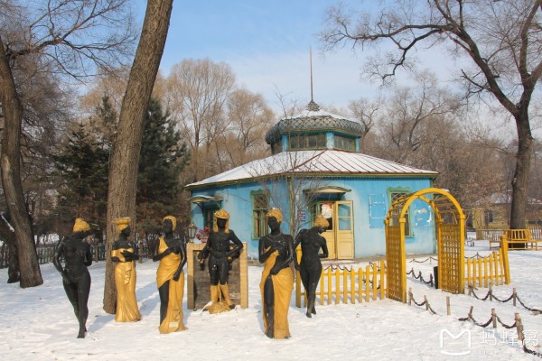哈尔滨冬趣之旅，南方游客的冰雪奇缘