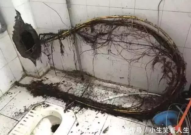 女子家中下水道惊现猪大肠，意外卫生危机